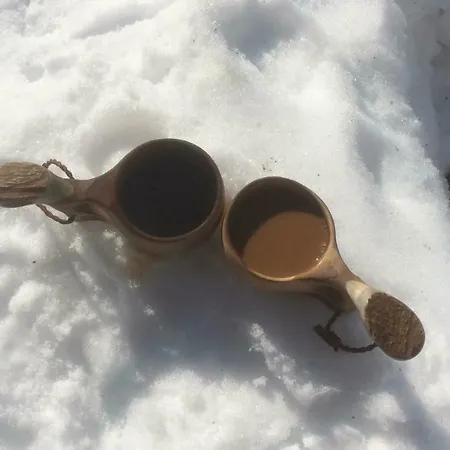 Apartament Havula Ranua