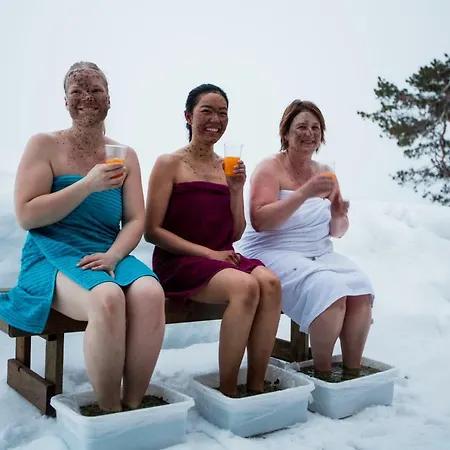 Apartament Havula Ranua