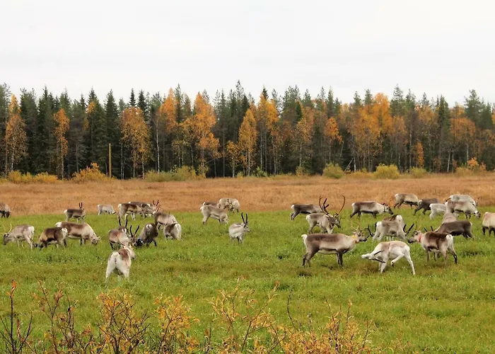 Havula Апартаменты *