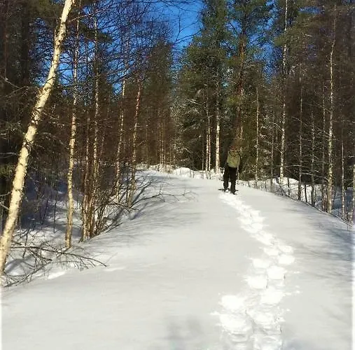 Havula 公寓 拉努阿