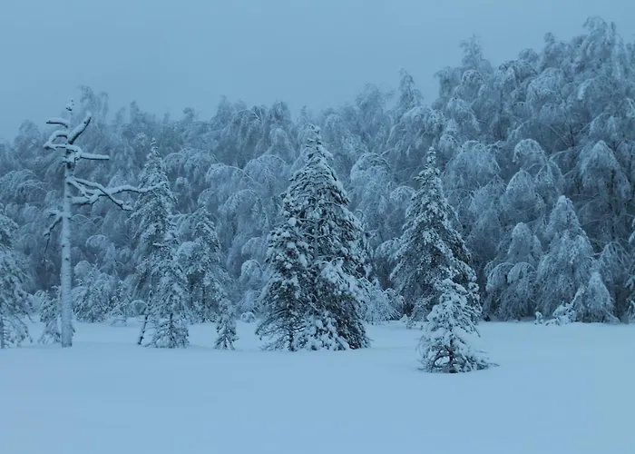 Havula Апартаменты