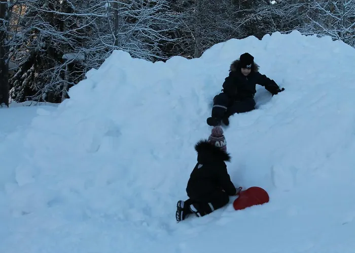 Havula Апартаменты *